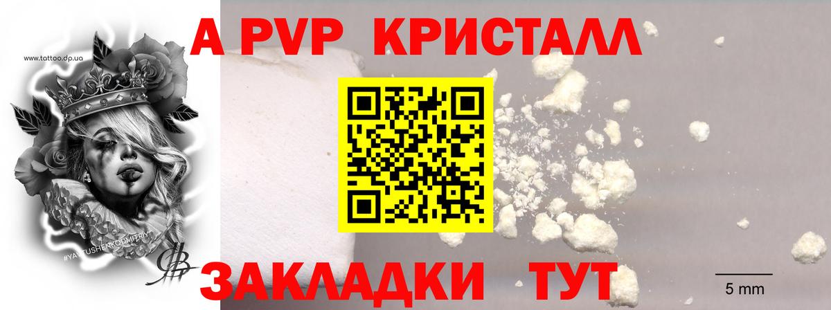 Шуя  Alfa_PVP Соль  А ПВП СК КРИС  Alpha-PVP СК КРИС  где найти   Вход с VPN  Alfa_PVP 