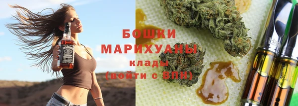 прущие грибы Магадан