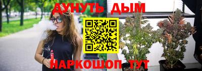 дживик Пенза
