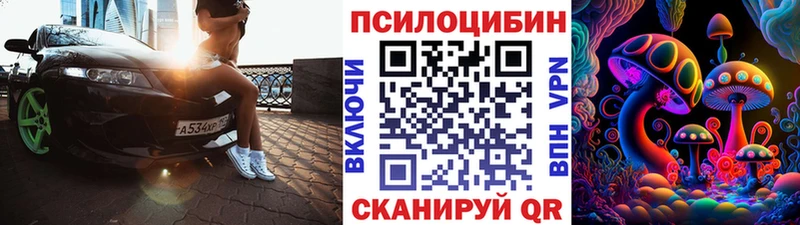 закладки  Шуя  Псилоцибиновые грибы Psilocybine cubensis 