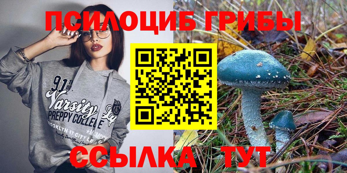Шуя  Галлюциногенные грибы мицелий  Вход с VPN 